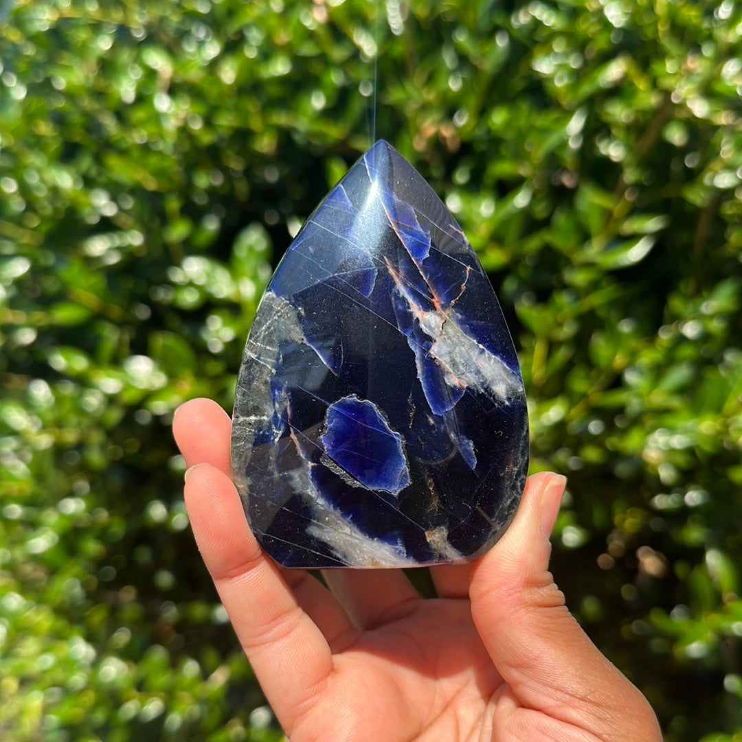 Sodalite Freeform