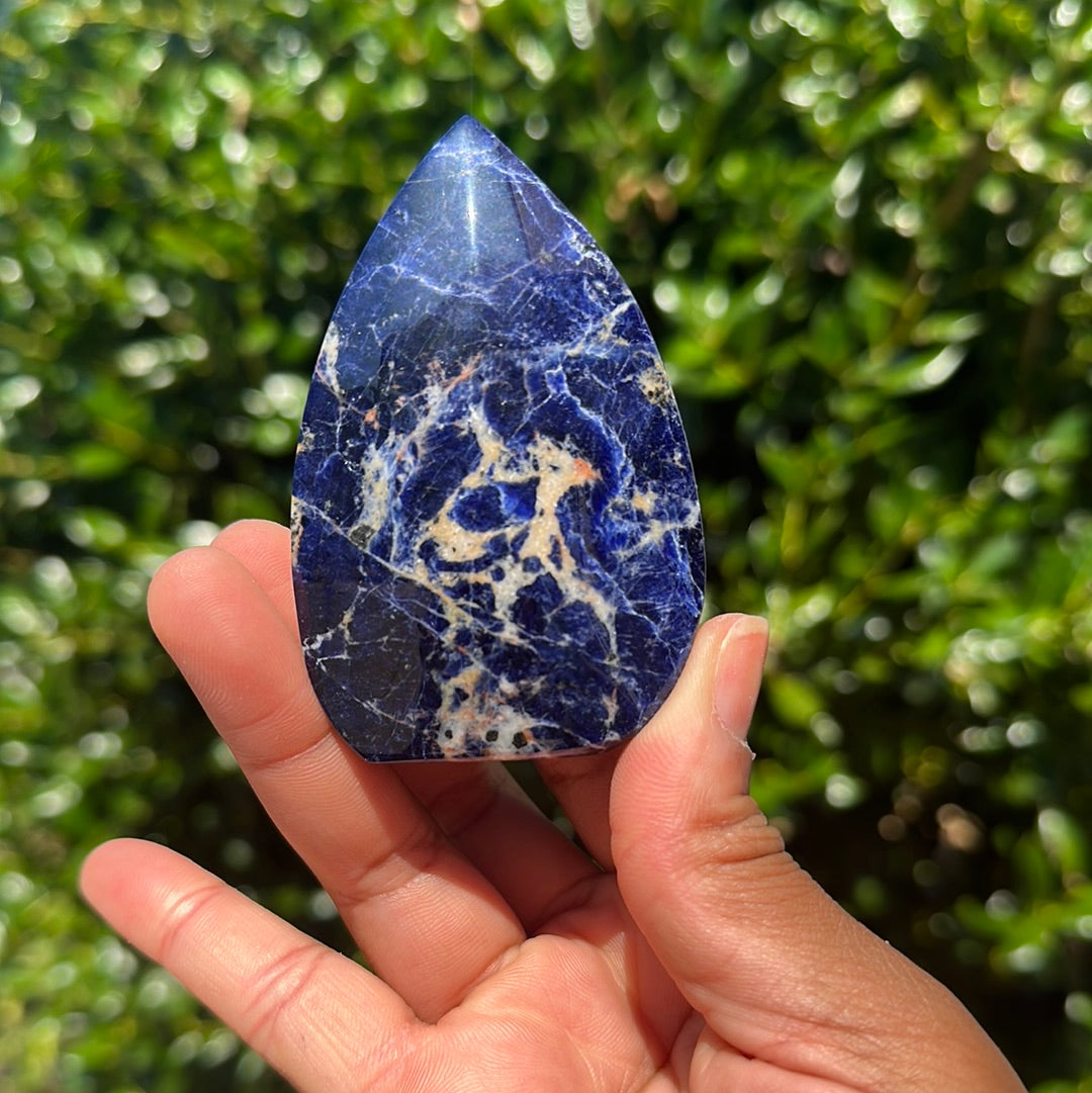 Sodalite Freeform