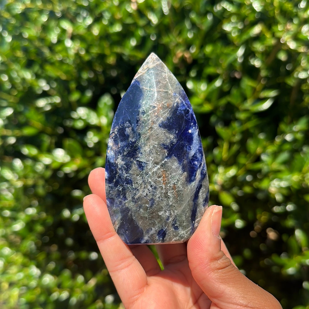 Sodalite Freeform