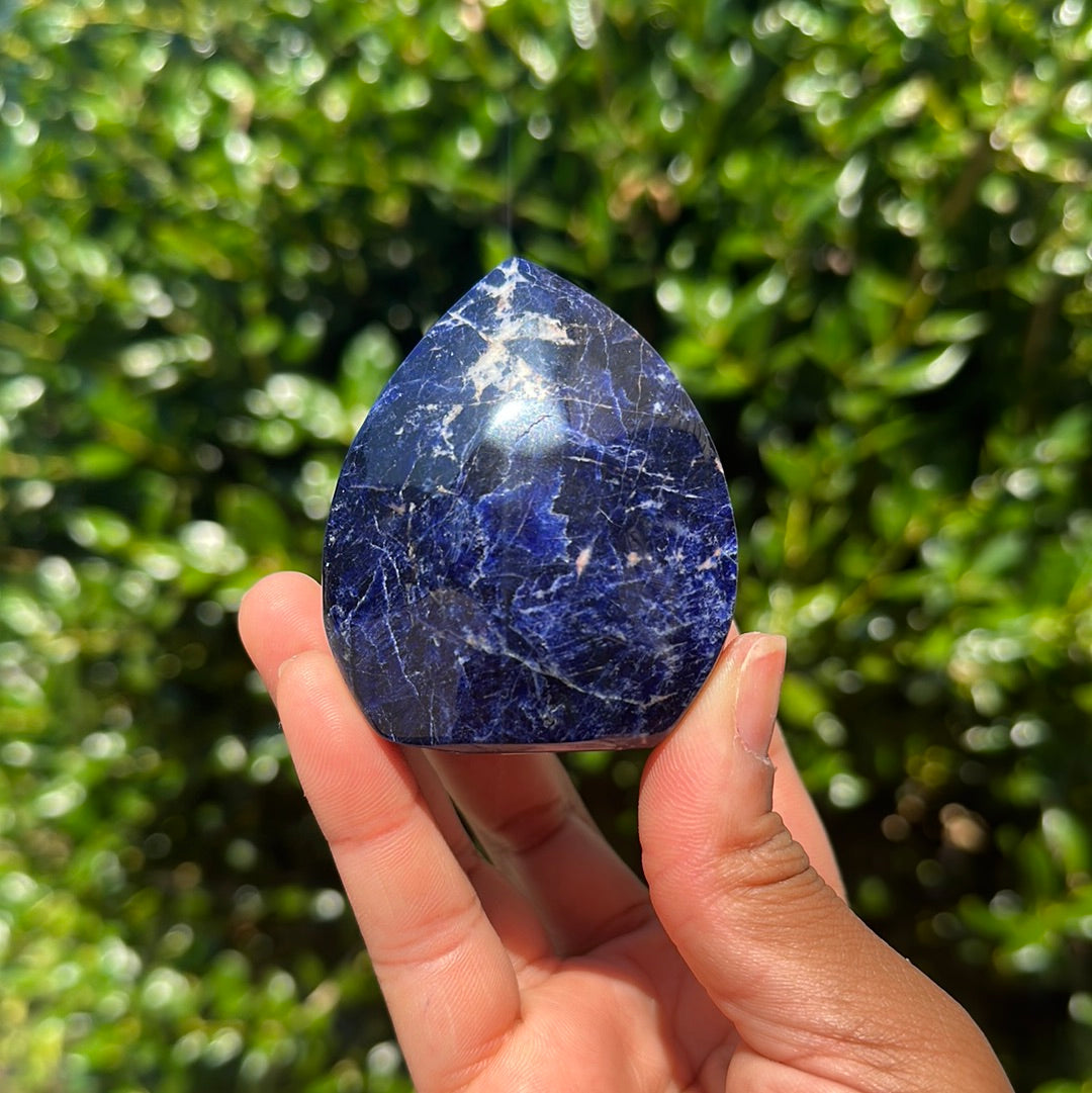 Sodalite Freeform