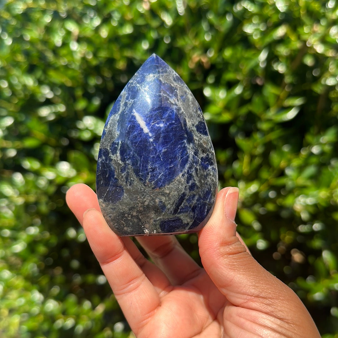 Sodalite Freeform