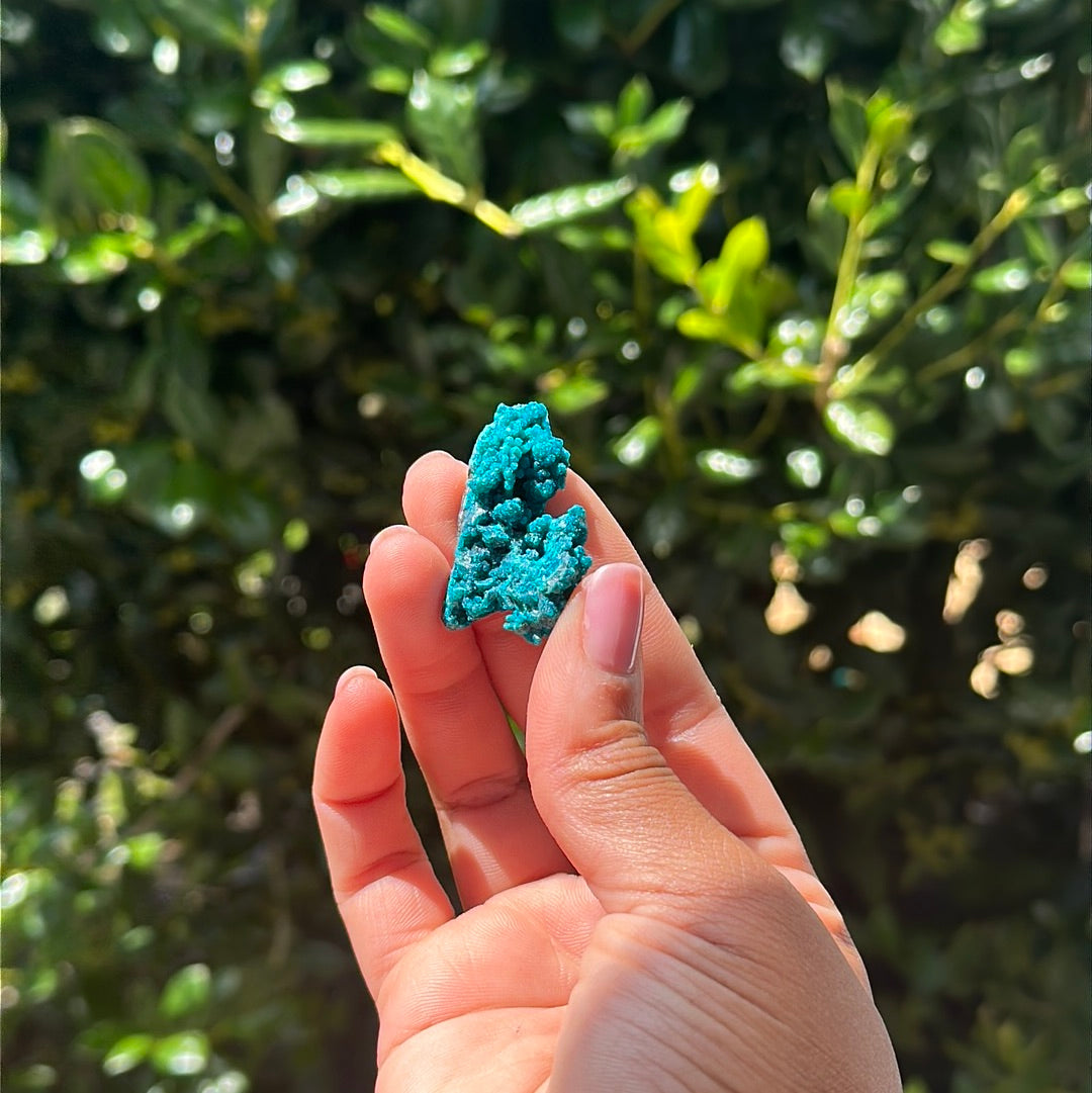 Chrysocolla Specimen