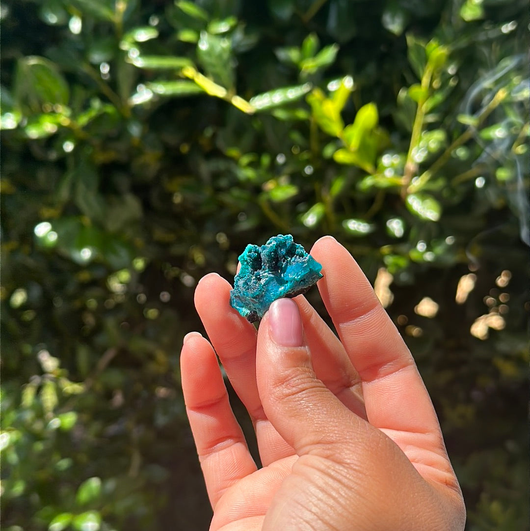 Chrysocolla Specimen