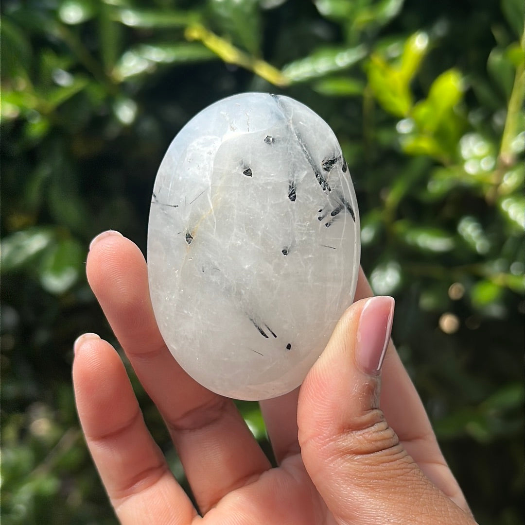 Black Tourmaline in Quartz Palm