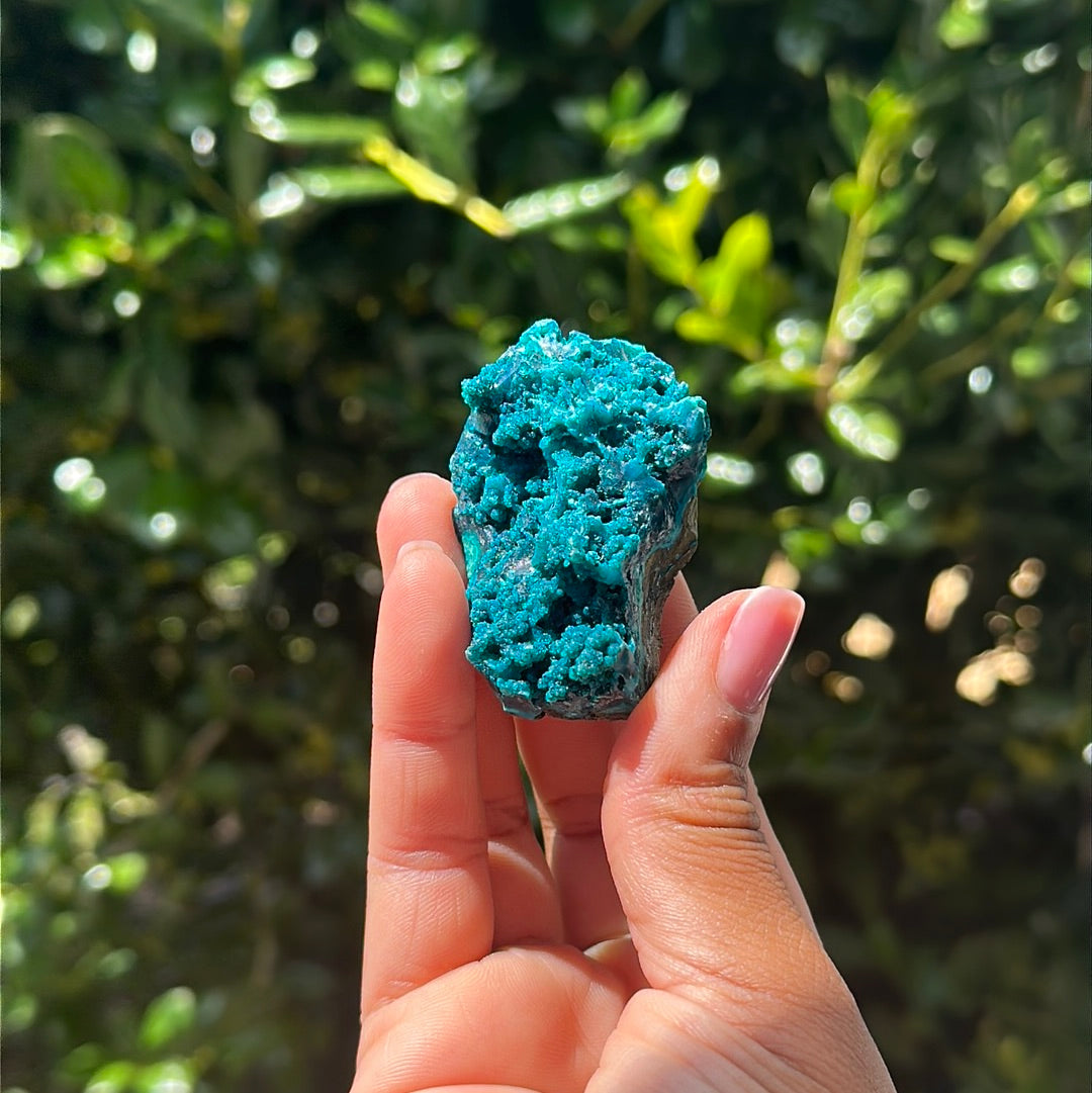 Chrysocolla Specimen