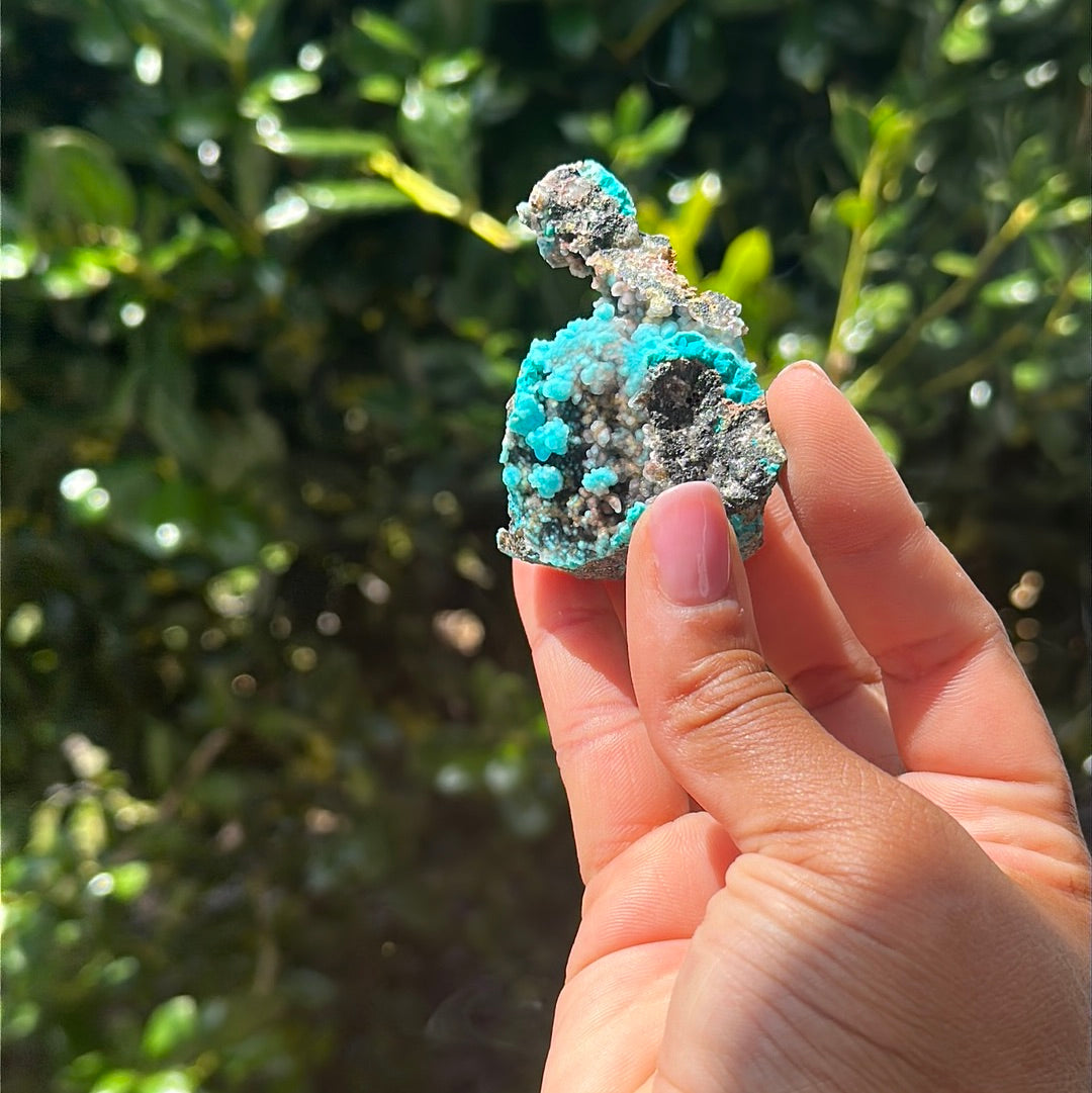 Chrysocolla Specimen