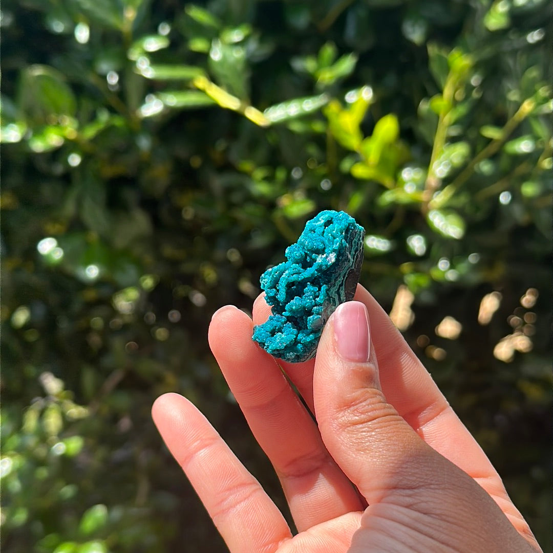 Chrysocolla Specimen