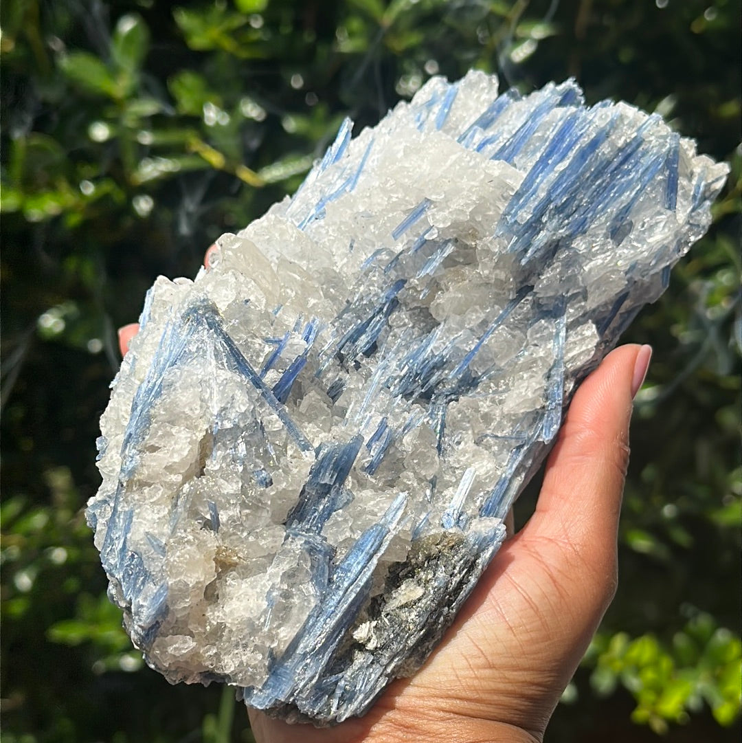 Kyanite and Quartz