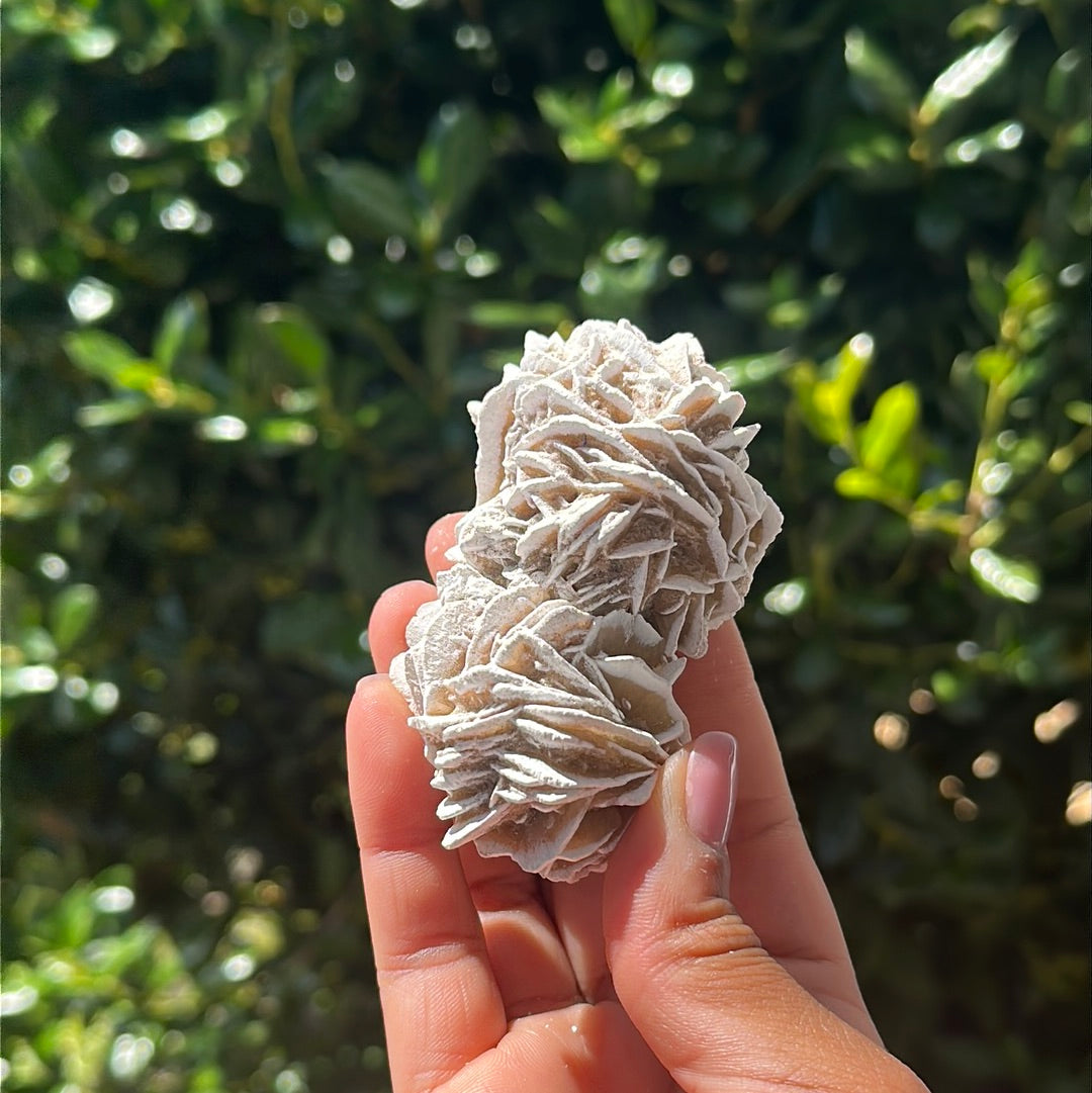 Desert Rose Selenite