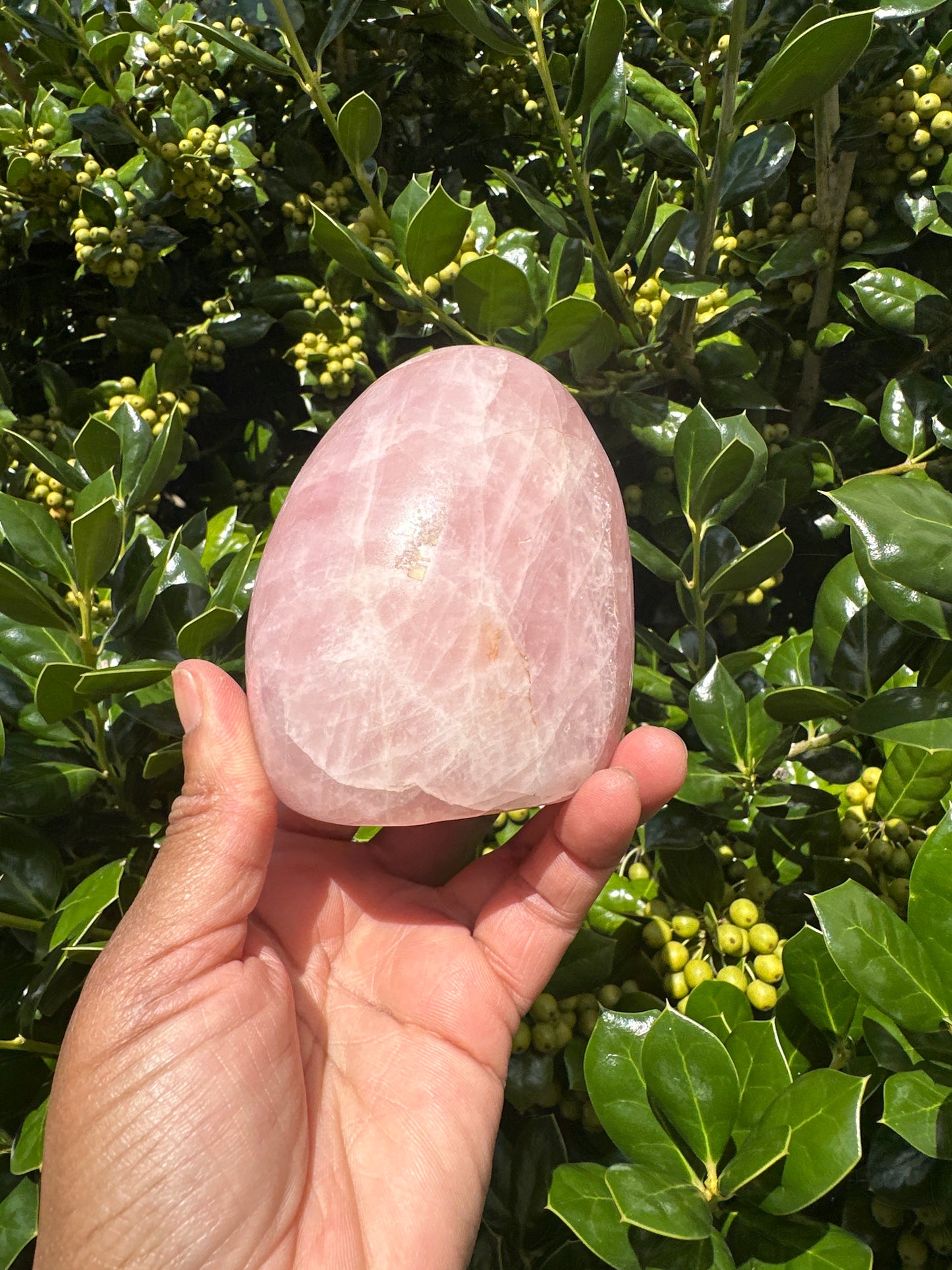 Rose Quartz Free Form