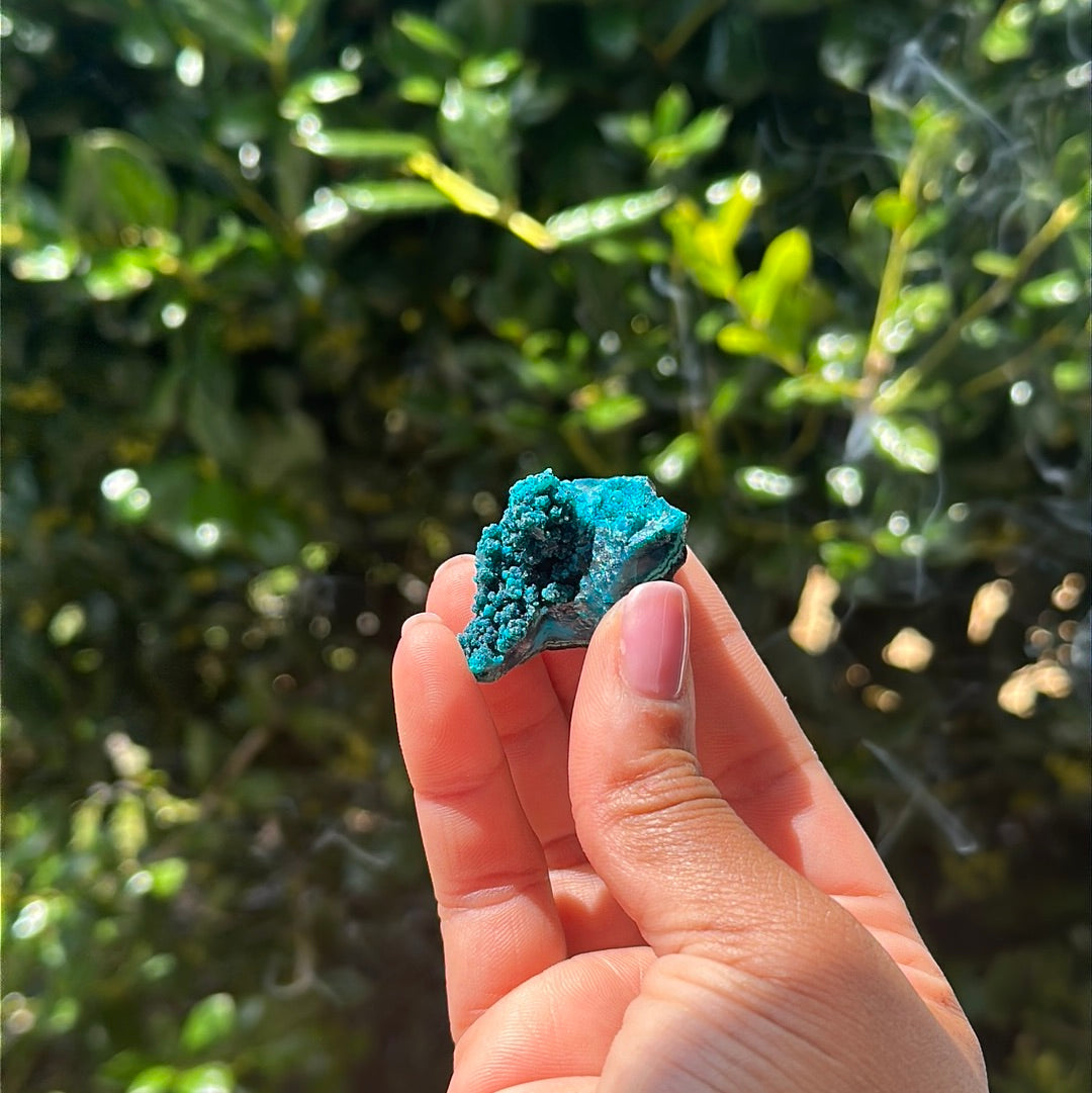 Chrysocolla Specimen