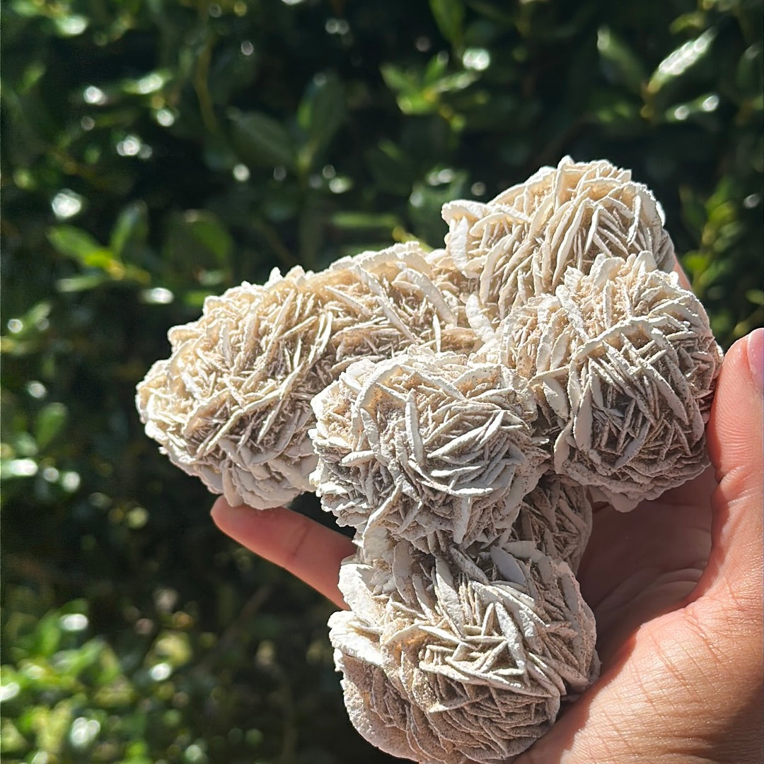 Desert Rose Selenite