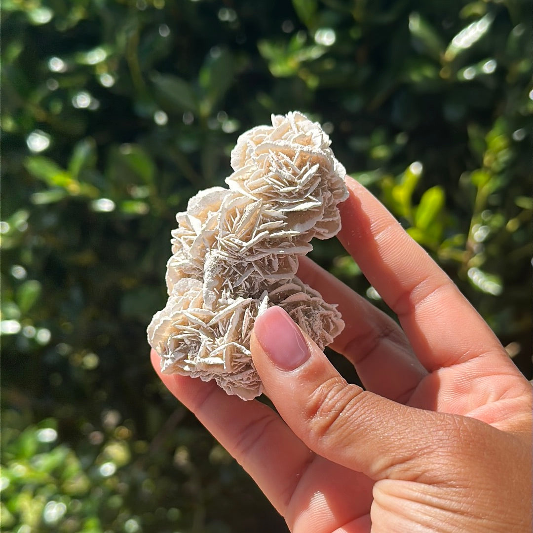 Desert Rose Selenite