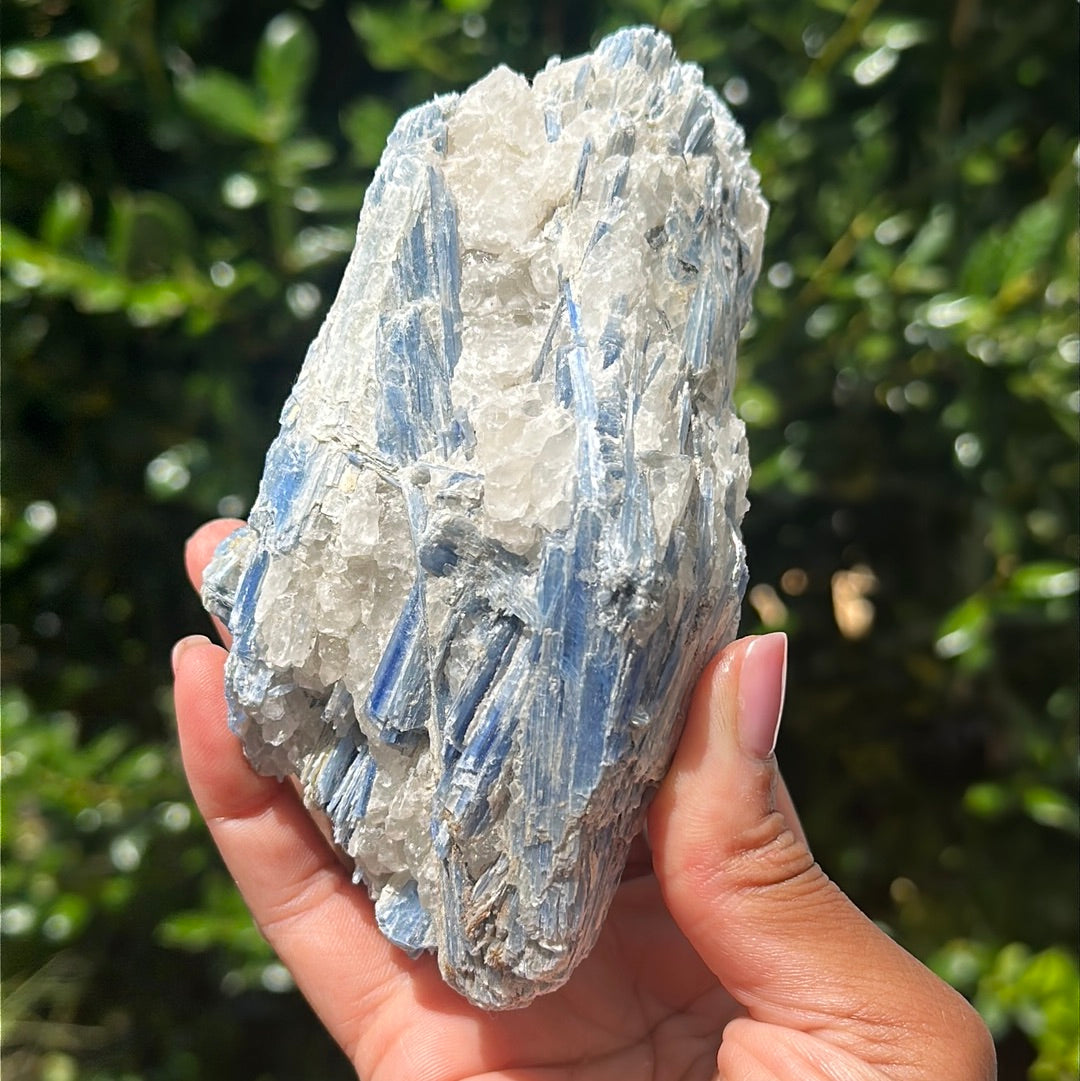 Kyanite and Quartz