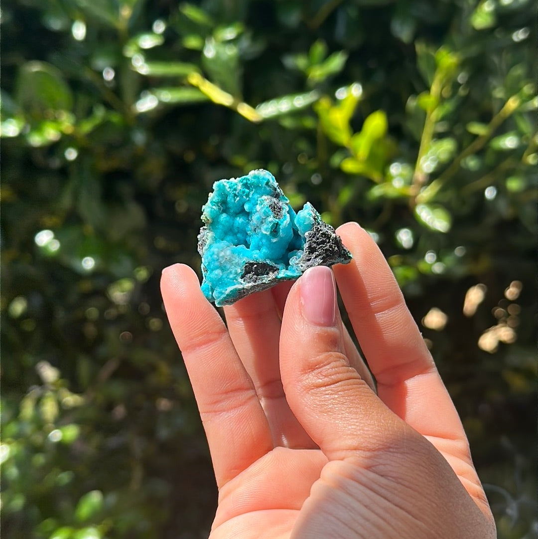 Chrysocolla Specimen