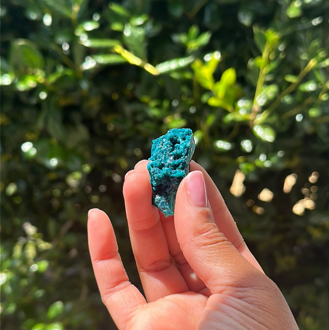 Chrysocolla Specimen